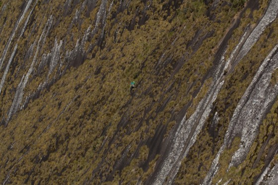 Kate Rutherford setting off on pitch four of Majka and Kate’s Science Project (IV 5.10-), Mt. Namuli, Mozambique. Photo: James Q Martin