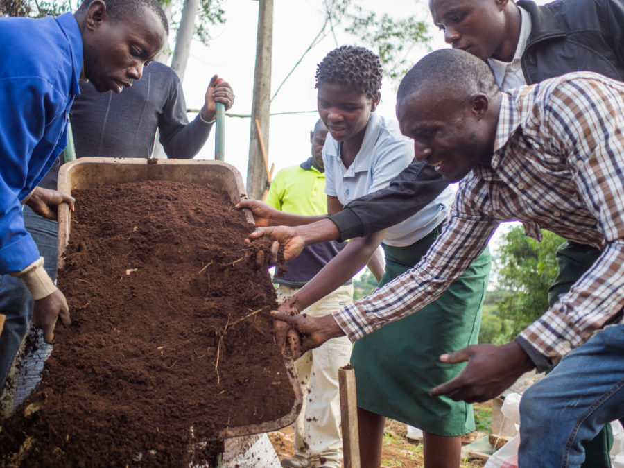 Permagardening on Namuli