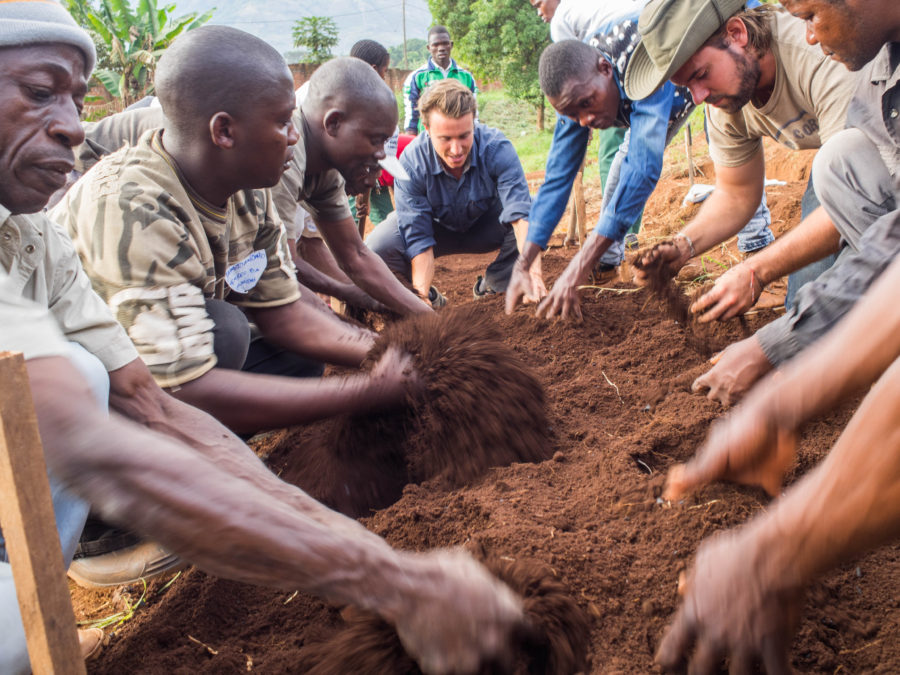 Permagardening on Namuli