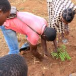 24Legado-Native-Plants-Community