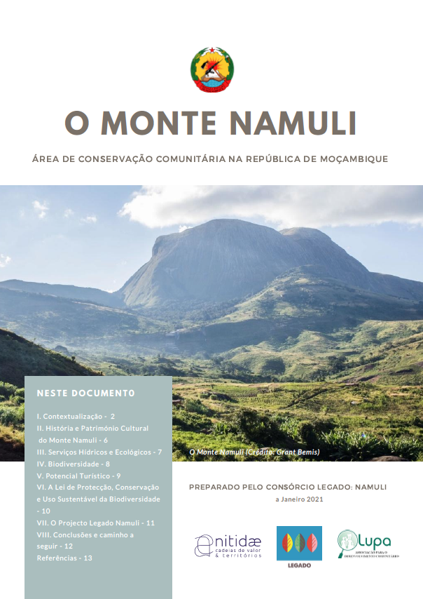 Featured image for “Garnering Government Support for the Community Conservation Area in Namuli”