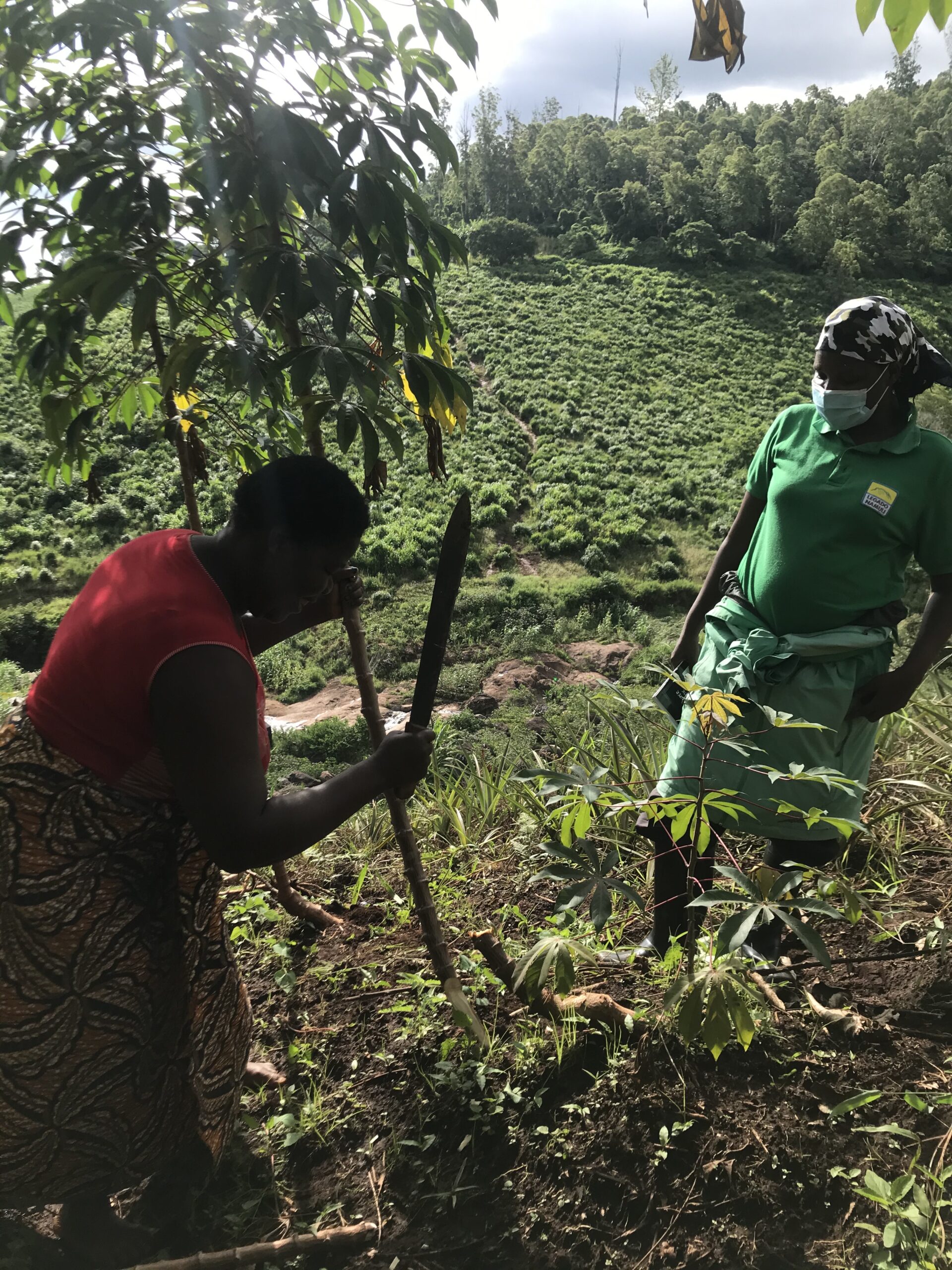 Featured image for “Back to basics of food sovereignty”